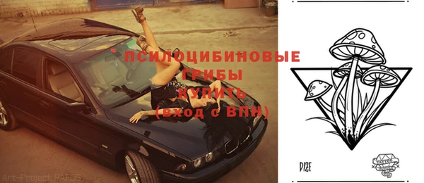 МДПВ Зеленокумск
