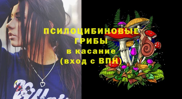 МДПВ Зеленокумск