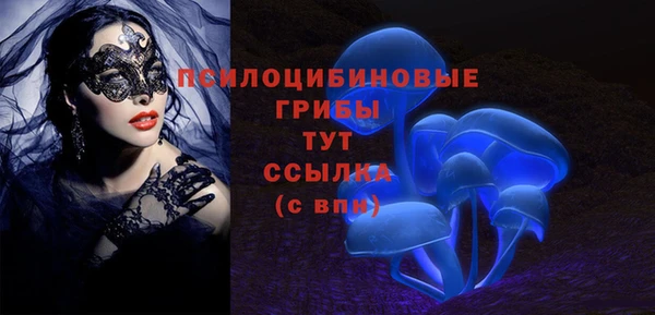 2c-b Зерноград