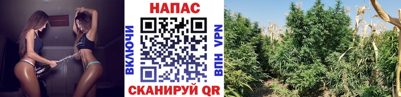 Канабис LSD WEED  Нефтекамск 